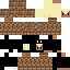 Texture for T_ex