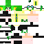 Texture for Alcedoちゃん