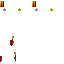 Texture for Lion
