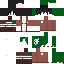 Texture for mame