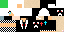 Texture for 084