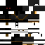 Texture for hacker espião
