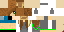Texture for Nyash