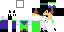 Texture for Gery