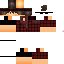 Texture for derpy pro