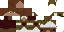 Texture for Coon From The Elementals 