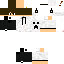 Texture for David