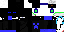 Texture for ender