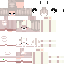 Texture for Steve