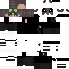 Texture for cat