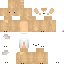 Texture for char
