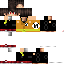 Texture for PicoPjevac