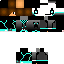 Texture for amir