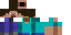 Texture for Steve